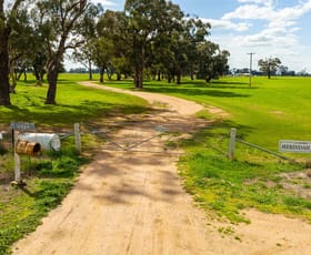 Rural / Farming commercial property sold at 295 Collendina Road Corowa NSW 2646