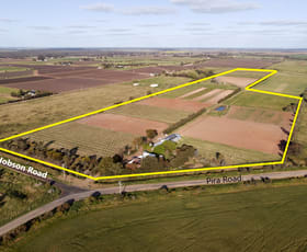 Rural / Farming commercial property sold at 215 Hobson Road Nyah West VIC 3595