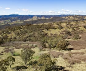 Rural / Farming commercial property sold at 67 Bullocks Flat Road Upper Turon NSW 2795