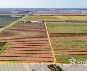 Rural / Farming commercial property sold at 1157 Kulkyne Way Red Cliffs VIC 3496