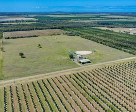 Rural / Farming commercial property for sale at 123 Lakeview Drive Alloway QLD 4670