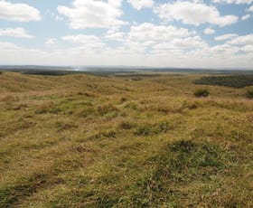 Rural / Farming commercial property sold at 417 Jackson Road Gogango QLD 4702 Rural / Farming commercial property sold at 417 Jackson Road Gogango QLD 4702