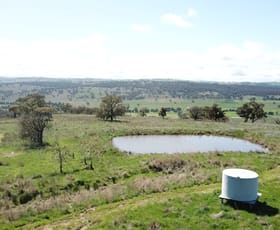 Rural / Farming commercial property sold at "Toolangi View" 2699 Blackstump Way Coolah NSW 2843