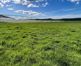 Rural / Farming commercial property sold at - Tasman Highway Nunamara TAS 7259