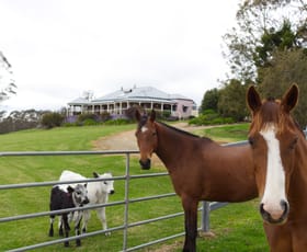 Rural / Farming commercial property sold at 387 Muldiva Road Dorrigo NSW 2453