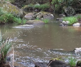 Rural / Farming commercial property sold at 615 Peacock Creek Road Peacock Creek NSW 2469 Rural / Farming commercial property sold at 615 Peacock Creek Road Peacock Creek NSW 2469