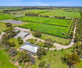 Rural / Farming commercial property for sale at 2300 Midland Highway Bannockburn VIC 3331
