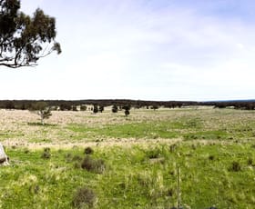 Rural / Farming commercial property sold at 2535 Castlereagh Highway Dunedoo NSW 2844