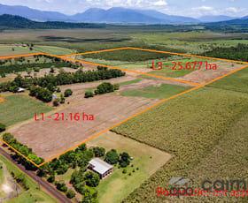 Rural / Farming commercial property sold at 443 Eubenangee Road Eubenangee QLD 4860