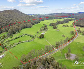 Rural / Farming commercial property for sale at 561 Holwell Road Beaconsfield TAS 7270
