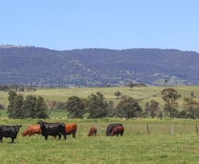 Rural / Farming commercial property sold at 192 Yarrandi Road Scone NSW 2337