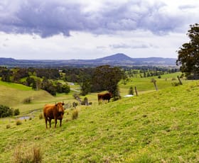 Rural / Farming commercial property for sale at 245 Croziers Road Berry NSW 2535
