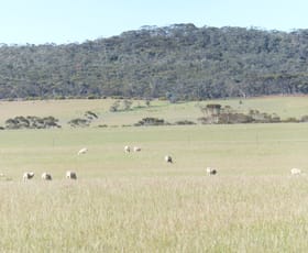 Rural / Farming commercial property sold at Lot 2 South Coast Highway Ravensthorpe WA 6346