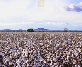 Rural / Farming commercial property sold at 746 Mellburra Road Narrabri NSW 2390