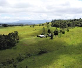 Rural / Farming commercial property sold at Glen Allyn QLD 4885