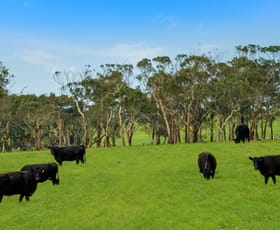 Rural / Farming commercial property sold at Barry's Road Orford VIC 3284