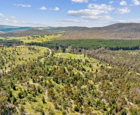 Rural / Farming commercial property sold at 207 Foggy Forest Drive Captains Flat NSW 2623