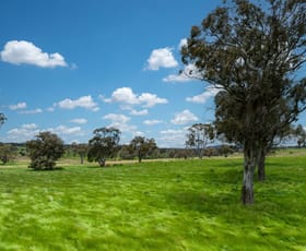 Rural / Farming commercial property sold at 1366 Amaroo Road Orange NSW 2800