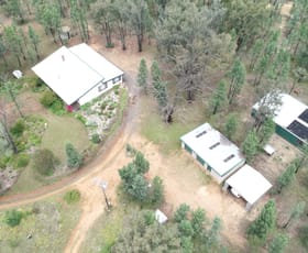 Rural / Farming commercial property sold at 18382 Kamilaroi Highway Narrabri NSW 2390