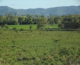 Rural / Farming commercial property sold at Lot 29 Quattromanis Road Walkerston QLD 4751