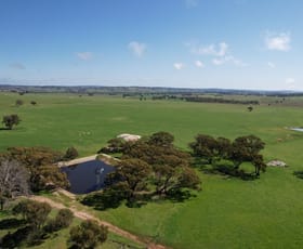 Rural / Farming commercial property for sale at 7367 York Williams Road Jelcobine WA 6306