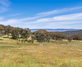 Rural / Farming commercial property sold at 3423 Freemantle Road Bathurst NSW 2795