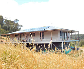 Rural / Farming commercial property sold at 2479 Bobeyan Road Shannons Flat NSW 2630