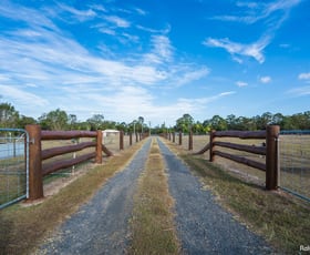 Rural / Farming commercial property sold at 31 Finch Court Walligan QLD 4655