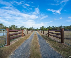 Rural / Farming commercial property sold at 31 Finch Court Walligan QLD 4655