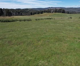 Rural / Farming commercial property sold at 152 Willigobung South Spur Road Willigobung NSW 2653