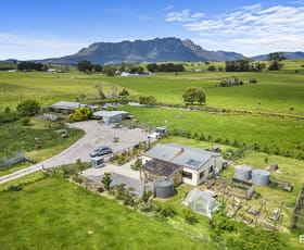 Rural / Farming commercial property for sale at 532 Nowhere Else Road West Kentish TAS 7306