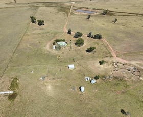 Rural / Farming commercial property sold at 'Waverley' 282 Woodford Road Trundle NSW 2875