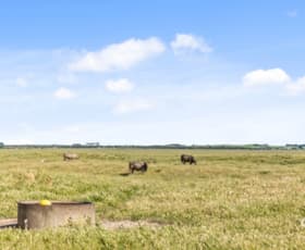 Rural / Farming commercial property for sale at 1099 Eight Mile Creek Road Eight Mile Creek SA 5291