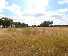 Rural / Farming commercial property sold at CA 23 24, 25, 26 & 28 Sect 7A Alma Bowenvale Road Bowenvale VIC 3465