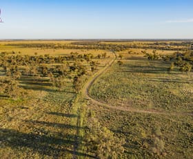 Rural / Farming commercial property sold at 799 Sandy Camp Road Quambone NSW 2831