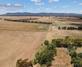 Rural / Farming commercial property sold at 'Glencoe', 529 Napiers Road Piney Range NSW 2810