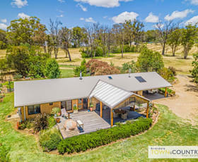 Rural / Farming commercial property sold at 206 Mundays Lane Armidale NSW 2350