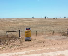 Rural / Farming commercial property sold at Section 495 Stenning Road Paskeville SA 5552