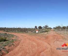 Rural / Farming commercial property sold at Lot 4446 Rabbit Proof Fence Road Wubin WA 6612