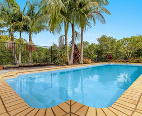 Rural / Farming commercial property for sale at 206 Repentance Creek Road Rosebank NSW 2480