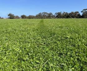Rural / Farming commercial property for sale at Lot 101 Schaefer Road Seddon SA 5223