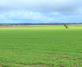 Rural / Farming commercial property for sale at 2648 Old Narrandera Road Currawarna NSW 2650