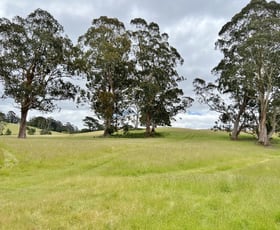 Rural / Farming commercial property sold at 1/ Tasman Highway Weldborough TAS 7264