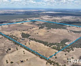 Rural / Farming commercial property sold at CA 55 & 55a Blakes Road Tooan VIC 3409