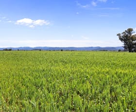 Rural / Farming commercial property sold at Montrose 109 Thornfield Crossing Road Narrabri NSW 2390