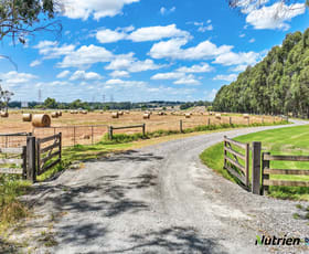 Rural / Farming commercial property sold at 250 Corduroy Road Longwarry VIC 3816