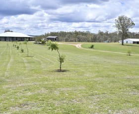 Rural / Farming commercial property for sale at 311 Brothers Road Emu Creek QLD 4355