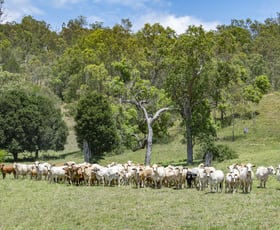 Rural / Farming commercial property sold at Lot 3 Lake Manchester Road Lake Manchester QLD 4306