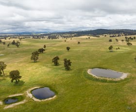 Rural / Farming commercial property sold at 91 Gill Road Walcha NSW 2354