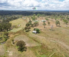 Rural / Farming commercial property for sale at 14381 Guyra Road Inverell NSW 2360
